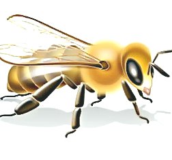 深圳殺蟲(chóng)公司 (137).jpg
