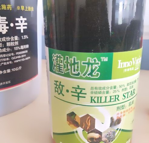 深圳殺蟲(chóng)公司 (48).jpeg