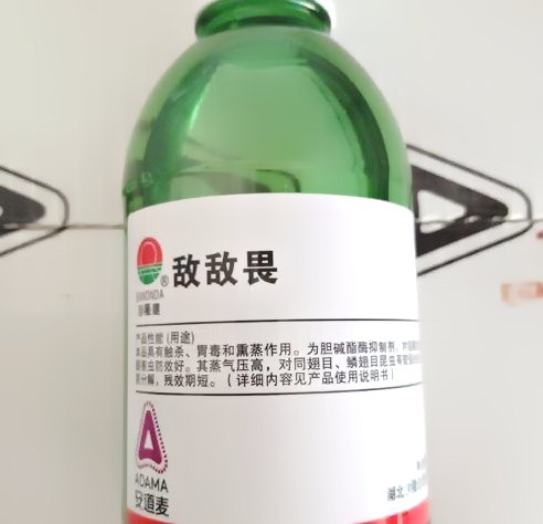 深圳殺蟲(chóng)公司 (85).jpeg