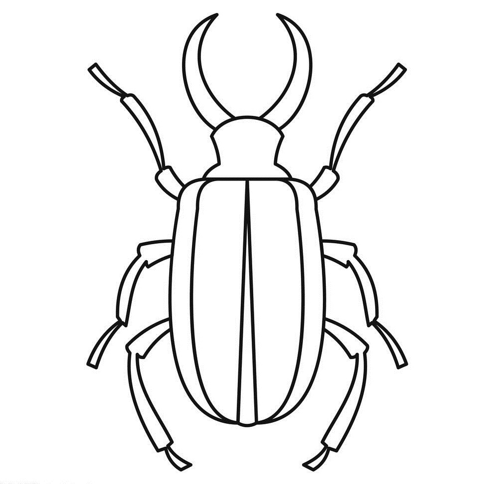 深圳殺蟲(chóng)公司 (67).jpg