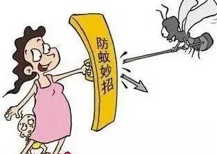 深圳殺蟲(chóng)公司如何滅蚊子 (48).jpeg