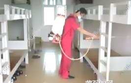 深圳殺蟲(chóng)公司 (1).gif