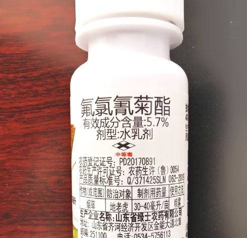 深圳殺蟲(chóng)公司 (127).jpeg
