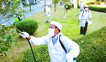 深圳殺蟲(chóng)公司如何滅蚊子 (287).jpg