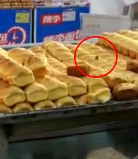 深圳殺蟲(chóng)公司教您如何滅蒼蠅 (4).jpeg