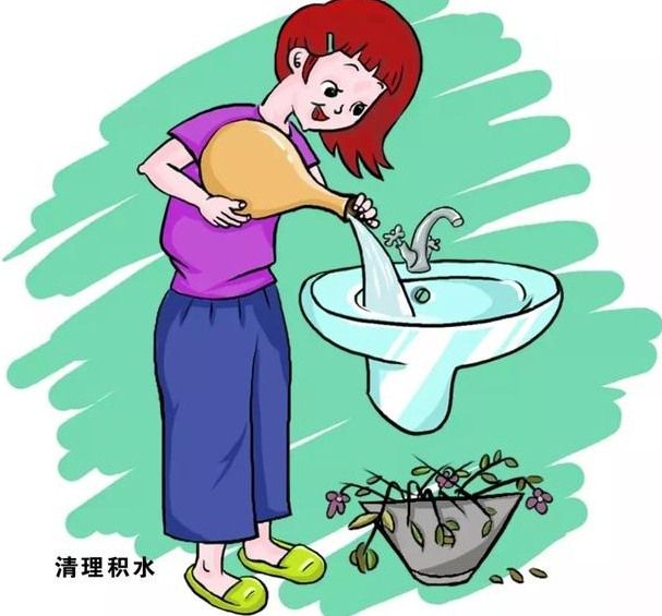 深圳殺蟲(chóng)公司如何滅蚊子 (184).jpg