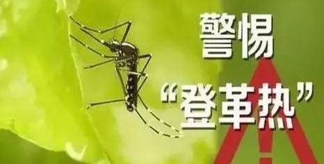 深圳殺蟲(chóng)公司如何滅蚊子 (83).jpeg