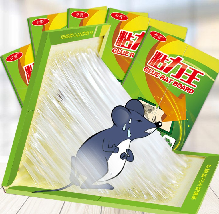 深圳滅鼠公司如何快速滅鼠 (3).jpg