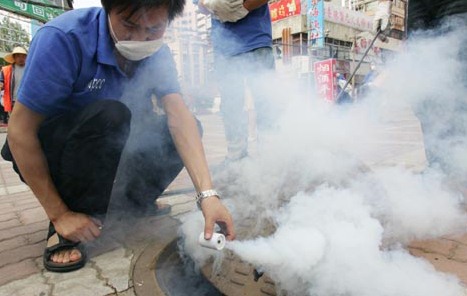 深圳殺蟲(chóng)公司教您如何快速專(zhuān)業(yè)滅殺蟑螂 (435).jpg