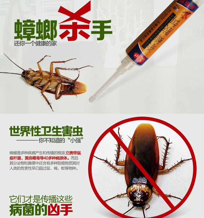 深圳滅蟑螂公司教您如何快速滅蟑螂 (455).jpg