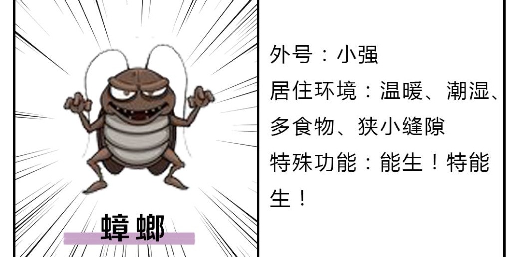 深圳滅蟑螂公司教您如何快速滅蟑螂 (200).jpeg