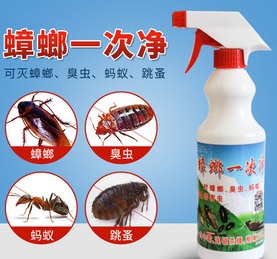 深圳殺蟲(chóng)公司教您如何快速專(zhuān)業(yè)滅殺蟑螂 (516).jpg