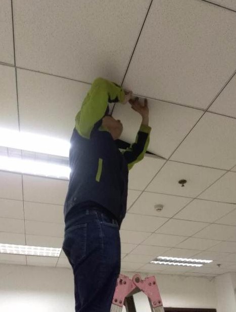 深圳滅鼠公司如何快速滅鼠 (440).jpg