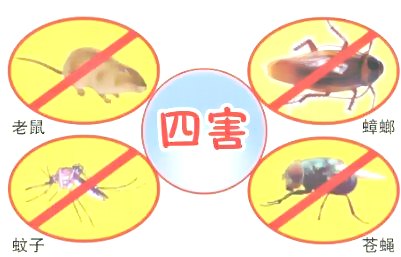 深圳殺蟲(chóng)滅鼠公司教您如何除四害 (25).jpeg