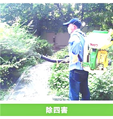 深圳殺蟲(chóng)滅鼠公司教您如何除四害 (230).jpg