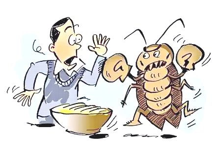 深圳殺蟲(chóng)滅鼠公司教您如何除四害 (51).jpeg